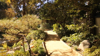 Enlarge photo 9