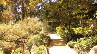 Enlarge photo 10