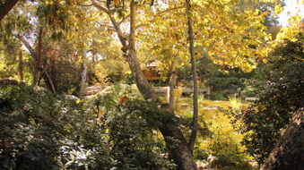 Enlarge photo 11