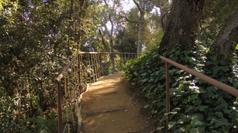 Enlarge photo 12