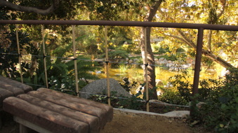 Enlarge photo 13