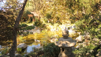 Enlarge photo 14