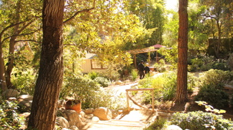 Enlarge photo 15
