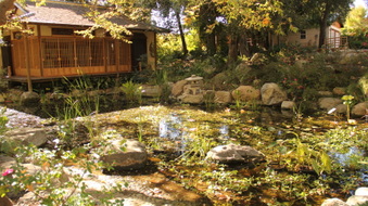 Enlarge photo 17