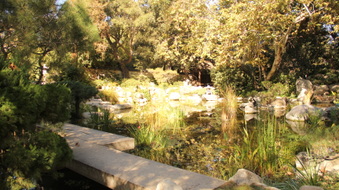Enlarge photo 19