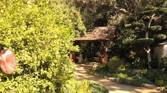 Enlarge photo 20