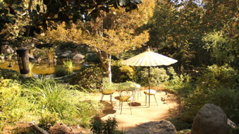 Enlarge photo 22