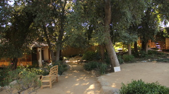 Enlarge photo 25