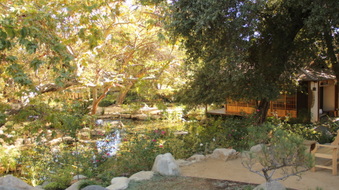 Enlarge photo 26