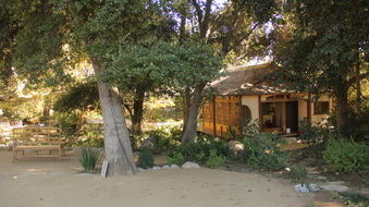 Enlarge photo 27