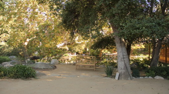 Enlarge photo 28