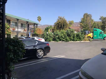 Enlarge photo 14