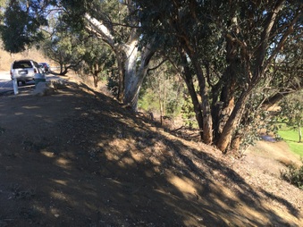 Enlarge photo 11