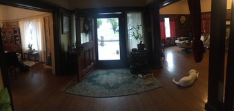 Enlarge photo 85