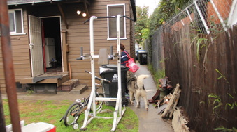 Enlarge photo 37