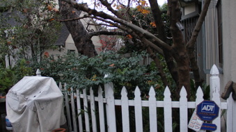 Enlarge photo 33