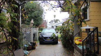 Enlarge photo 43