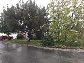 Enlarge photo 24