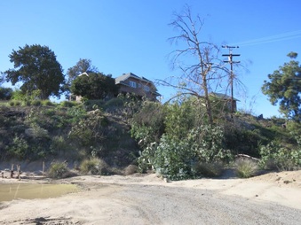 Enlarge photo 37