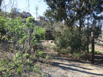 Enlarge photo 41