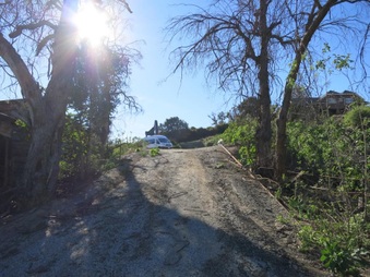 Enlarge photo 43