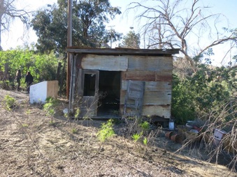 Enlarge photo 51