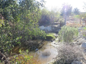Enlarge photo 83