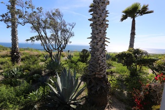 White Point/Royal Palms
