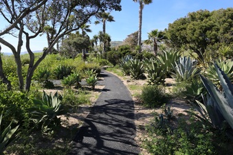 Enlarge photo 12