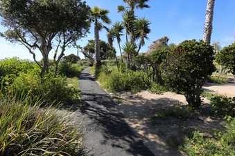 Enlarge photo 14