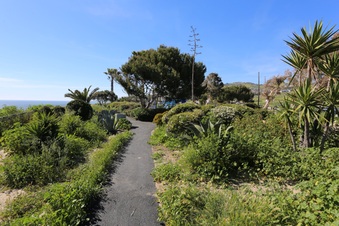 Enlarge photo 16