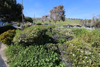Enlarge photo 17