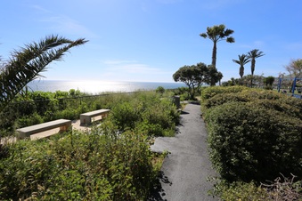 Enlarge photo 18