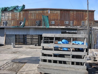 Enlarge photo 15