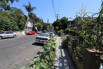 Enlarge photo 7