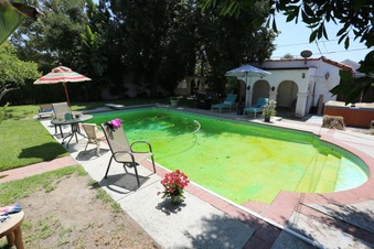 Enlarge photo 41