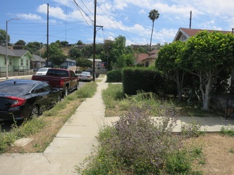 Enlarge photo 8