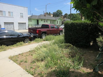 Enlarge photo 11