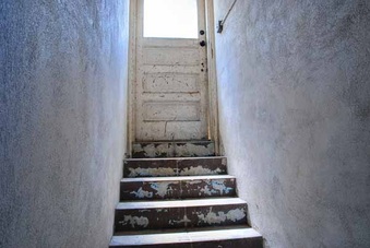 Enlarge photo 117