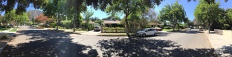 Enlarge photo 42