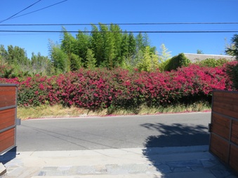 Enlarge photo 5