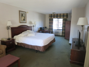 Dollar Motel