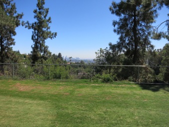 Enlarge photo 23