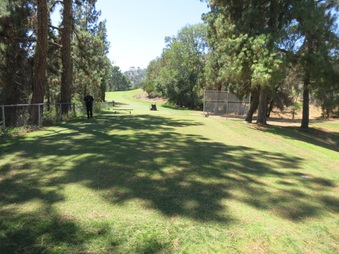 Enlarge photo 24
