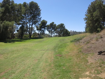 Enlarge photo 31