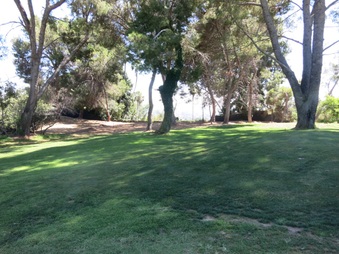 Enlarge photo 32