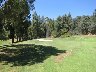 Enlarge photo 37