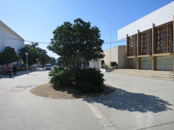 Enlarge photo 7