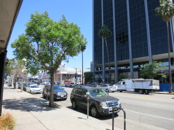 Enlarge photo 5