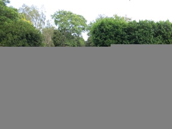 Enlarge photo 49